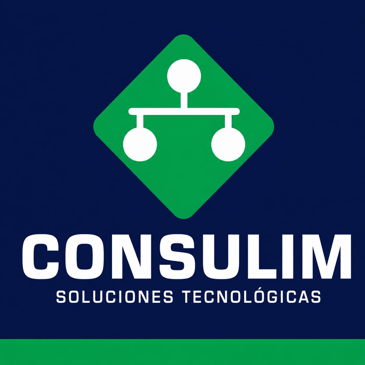 CONSULIM S.A. de C.V.